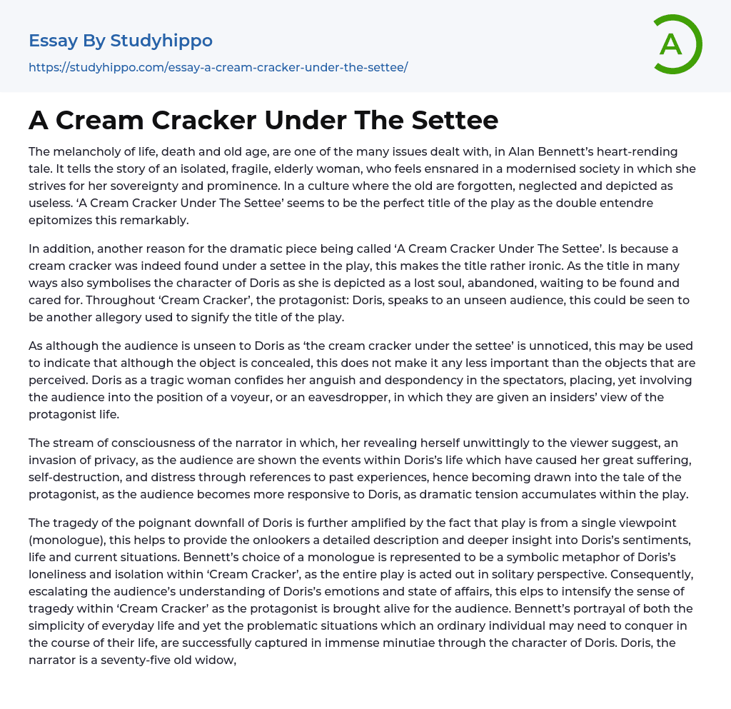 A Cream Cracker Under The Settee Essay Example