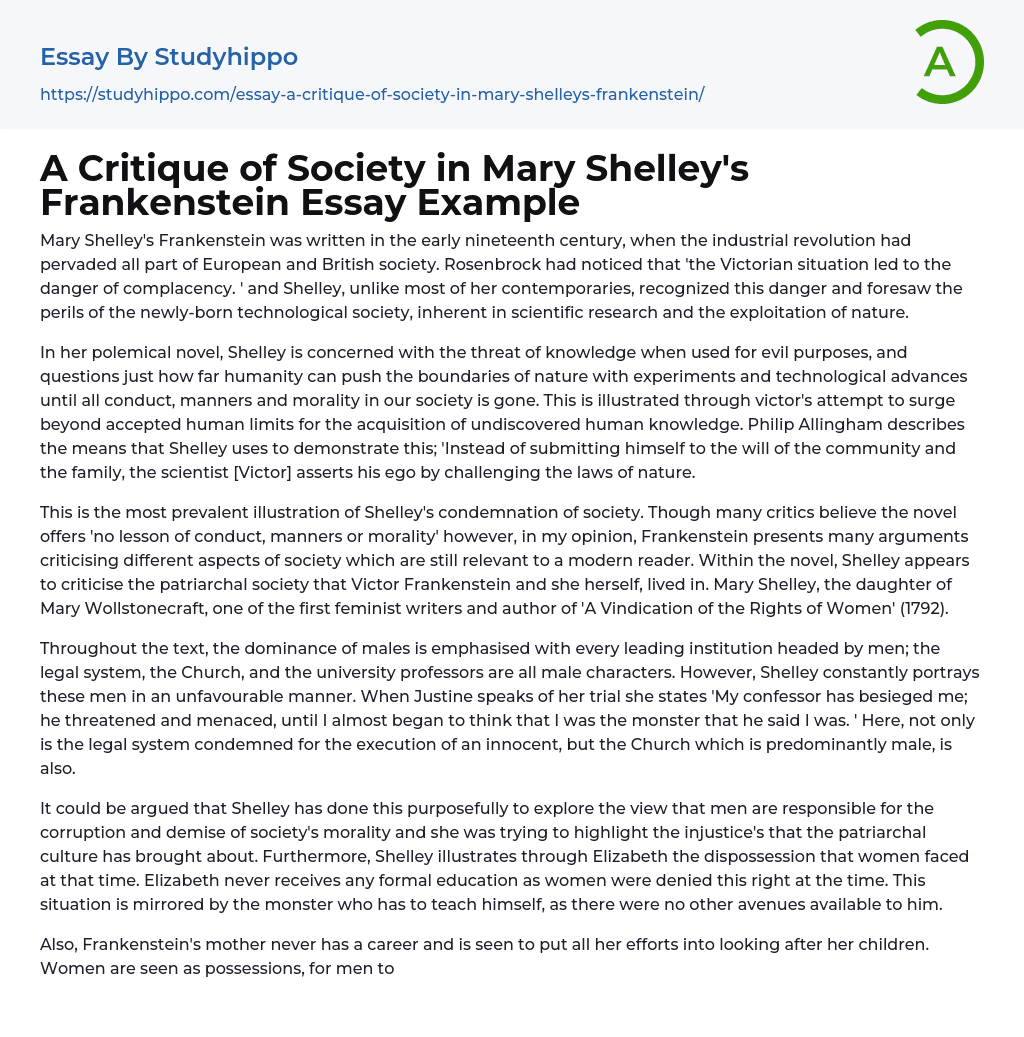 A Critique of Society in Mary Shelley’s Frankenstein Essay Example