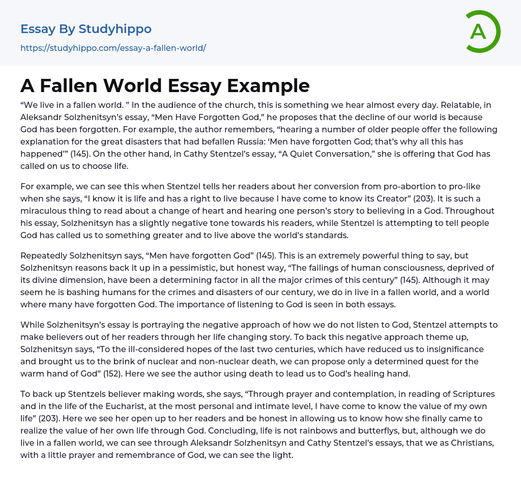 A Fallen World Essay Example