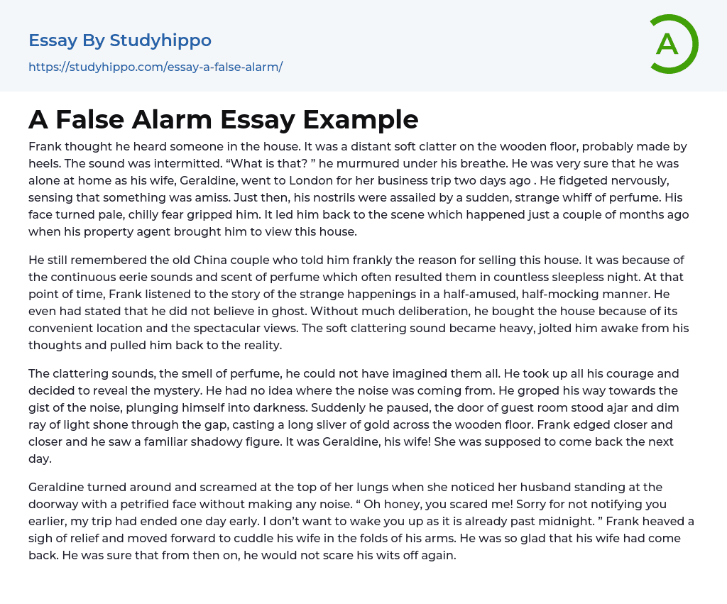 A False Alarm Essay Example