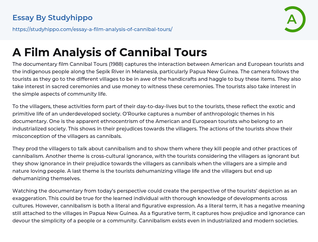 A Film Analysis of Cannibal Tours Essay Example