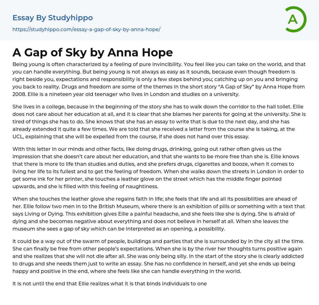A Gap of Sky by Anna Hope Essay Example