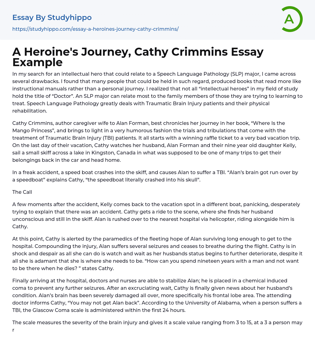 A Heroine’s Journey, Cathy Crimmins Essay Example