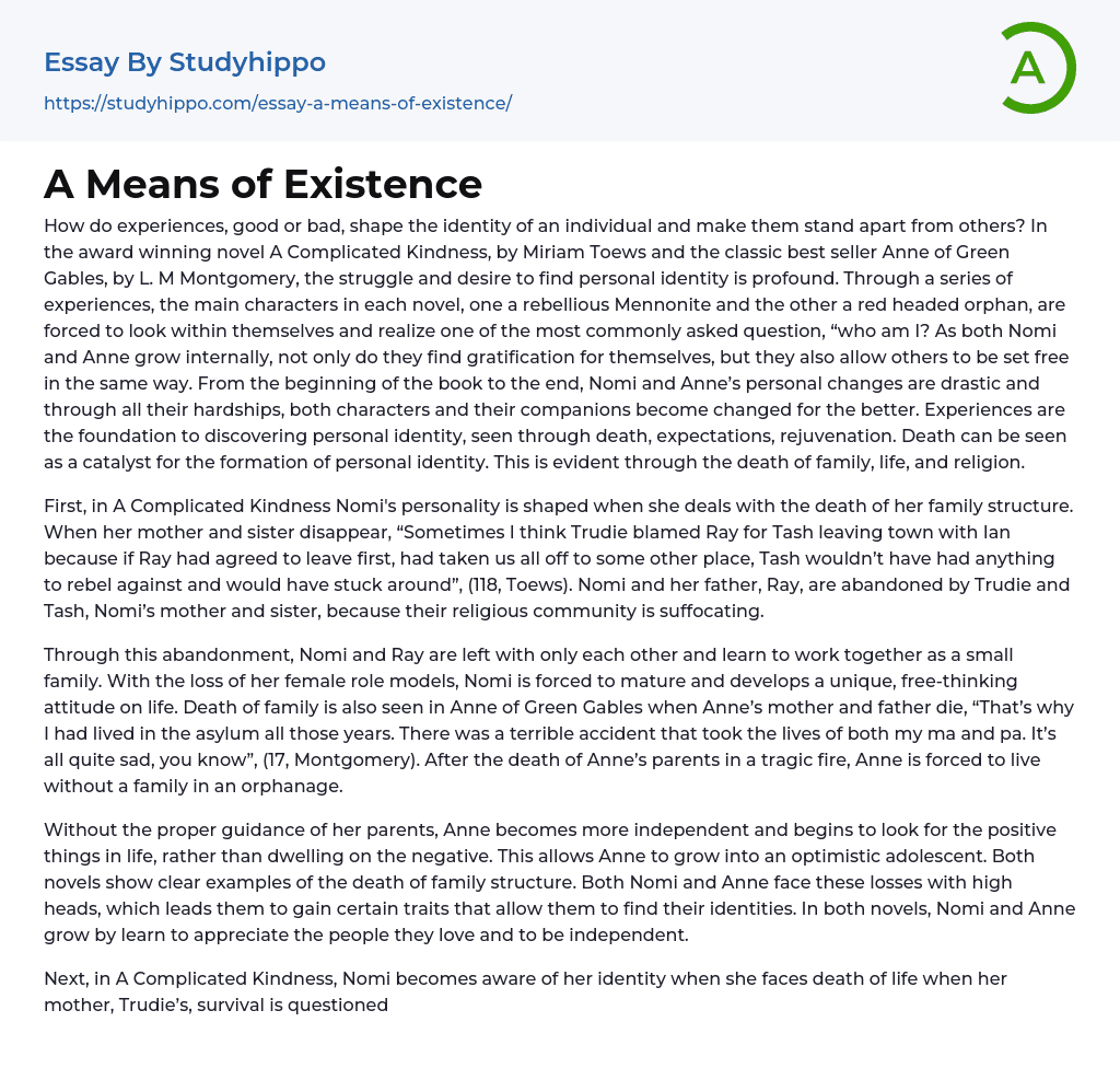 A Means of Existence Essay Example
