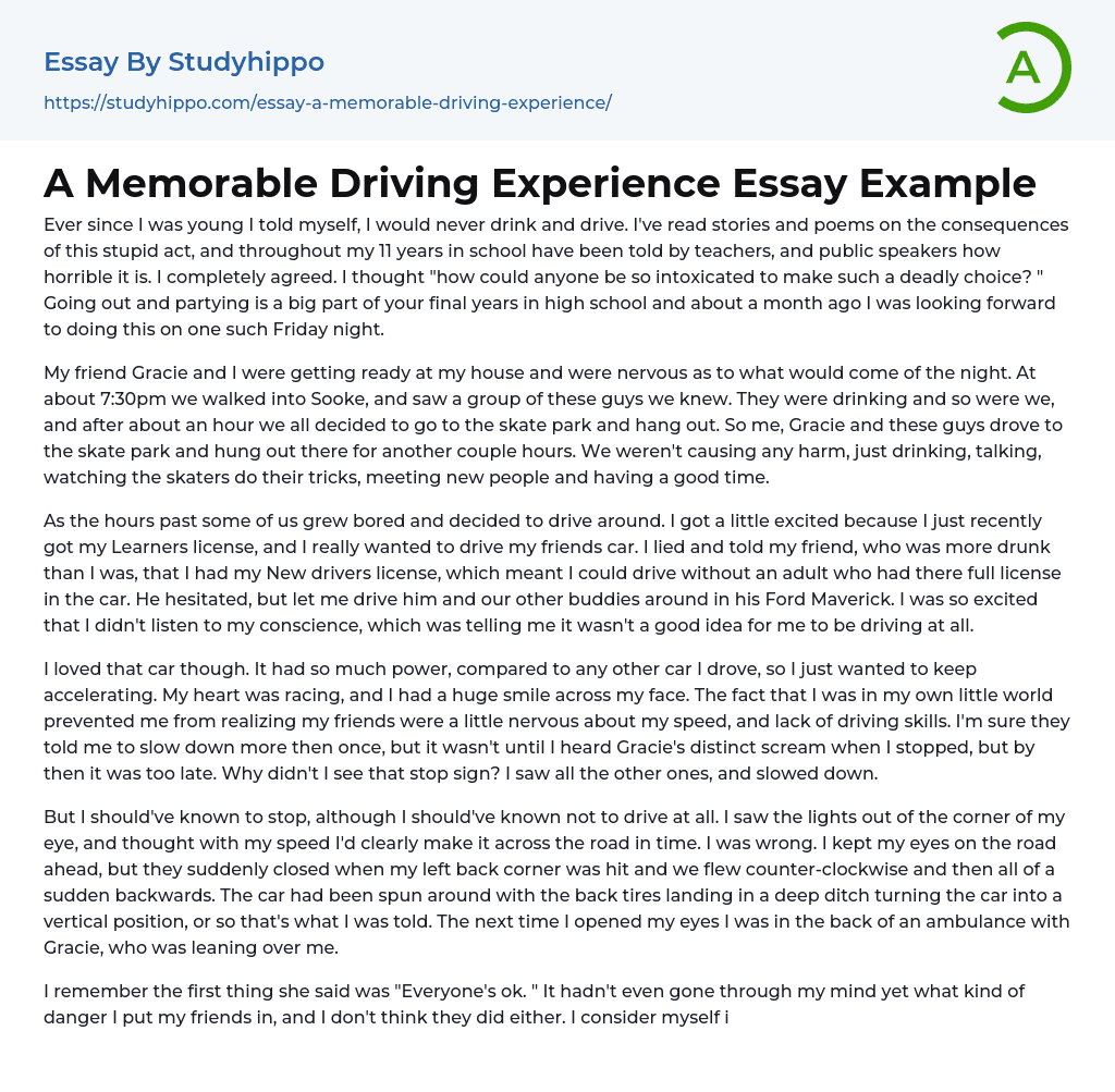 A Memorable Driving Experience Essay Example