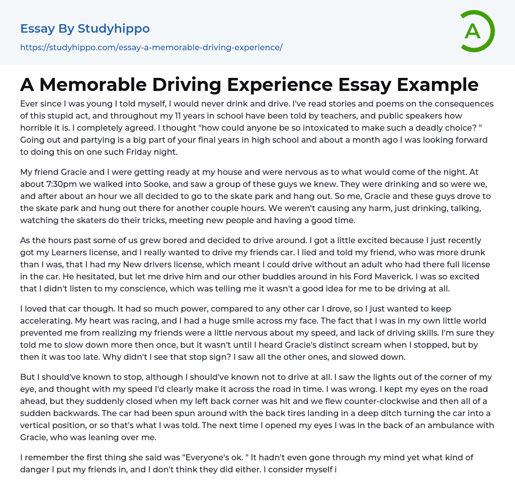 driving school experience essay