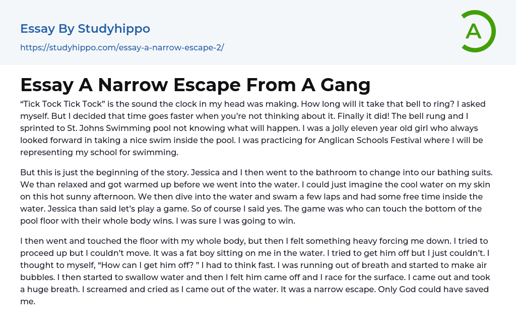 Essay A Narrow Escape From A Gang