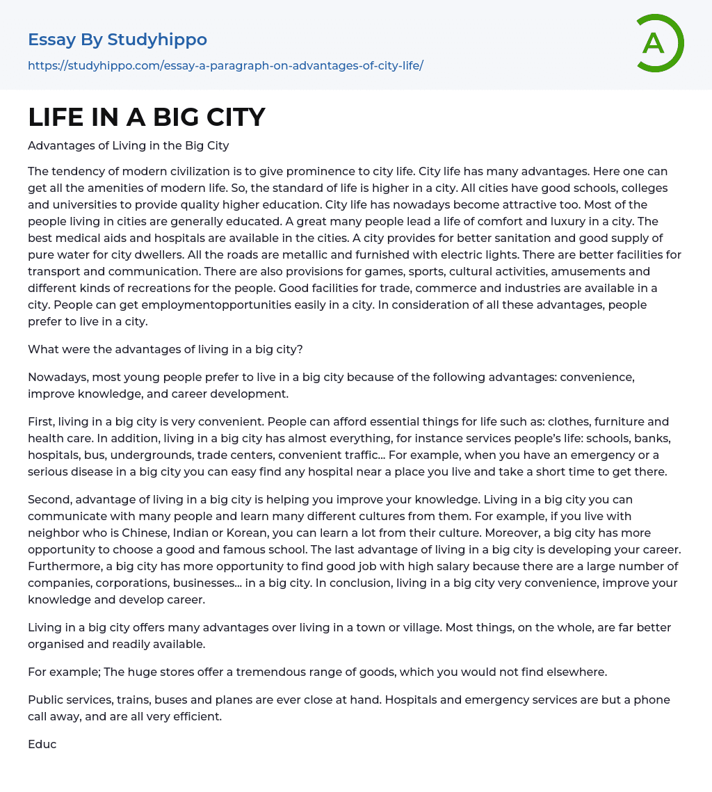 life in a big city essay 200 words