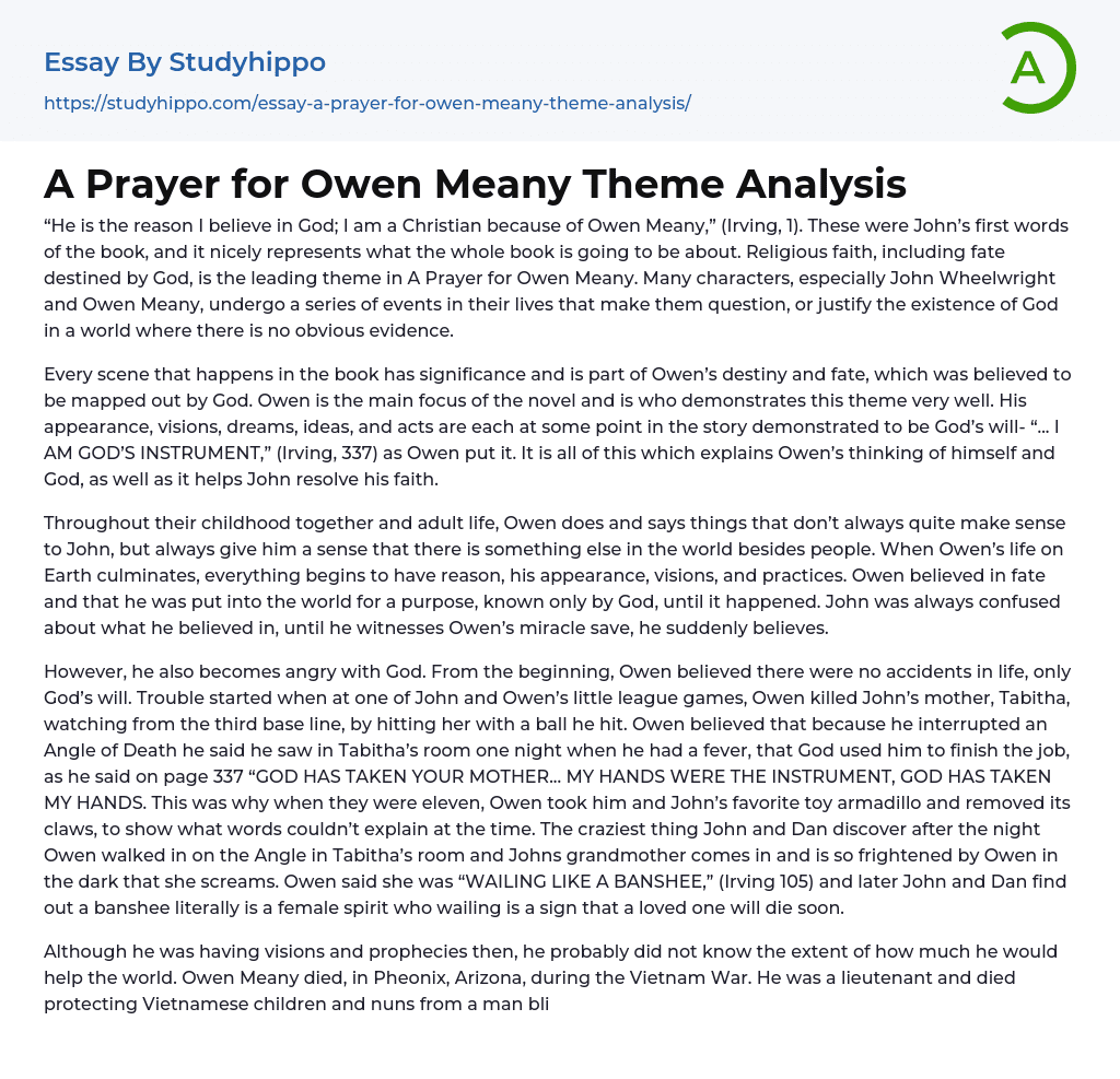 A Prayer for Owen Meany Theme Analysis Essay Example