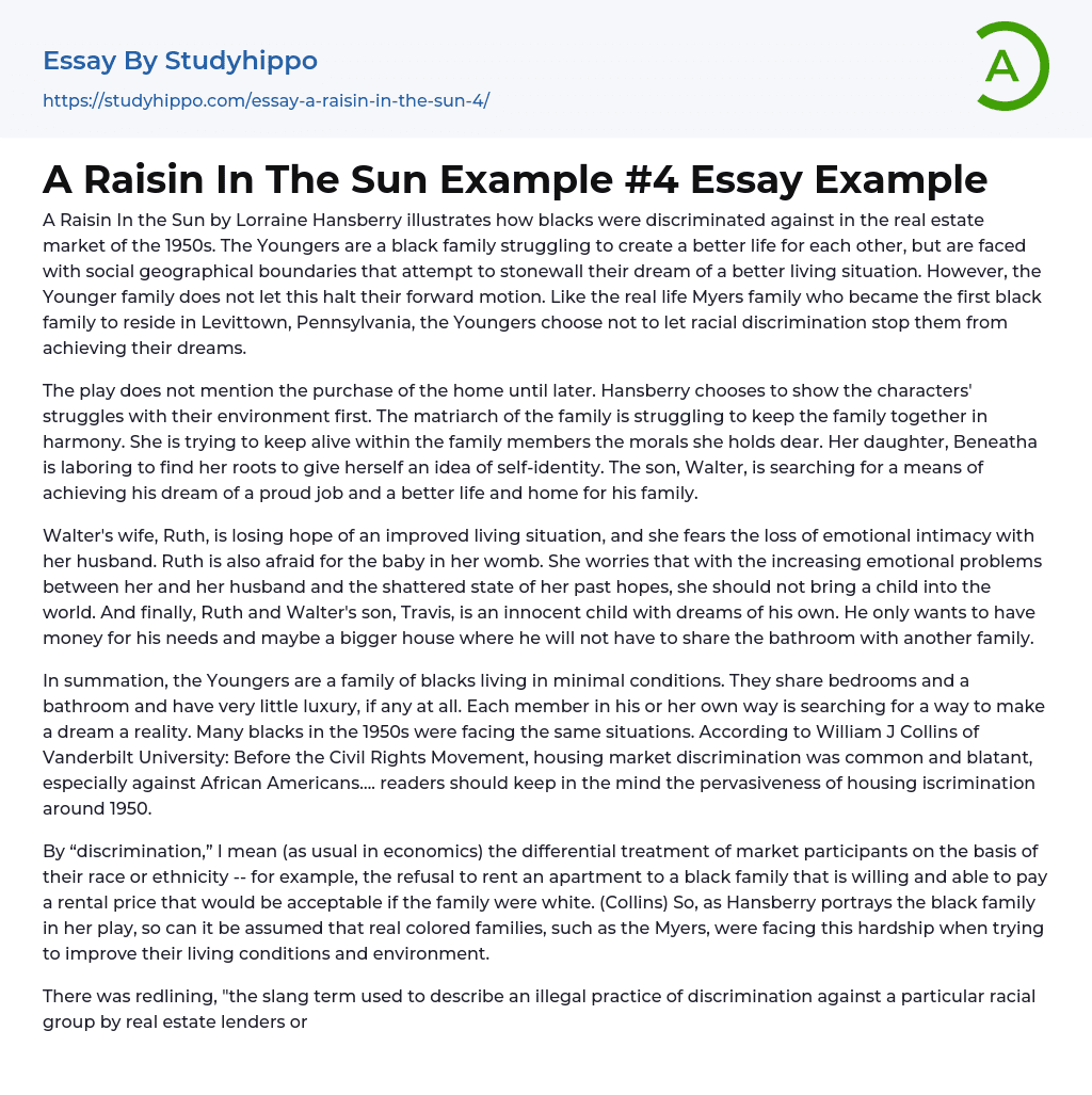 A Raisin In The Sun Example #4 Essay Example