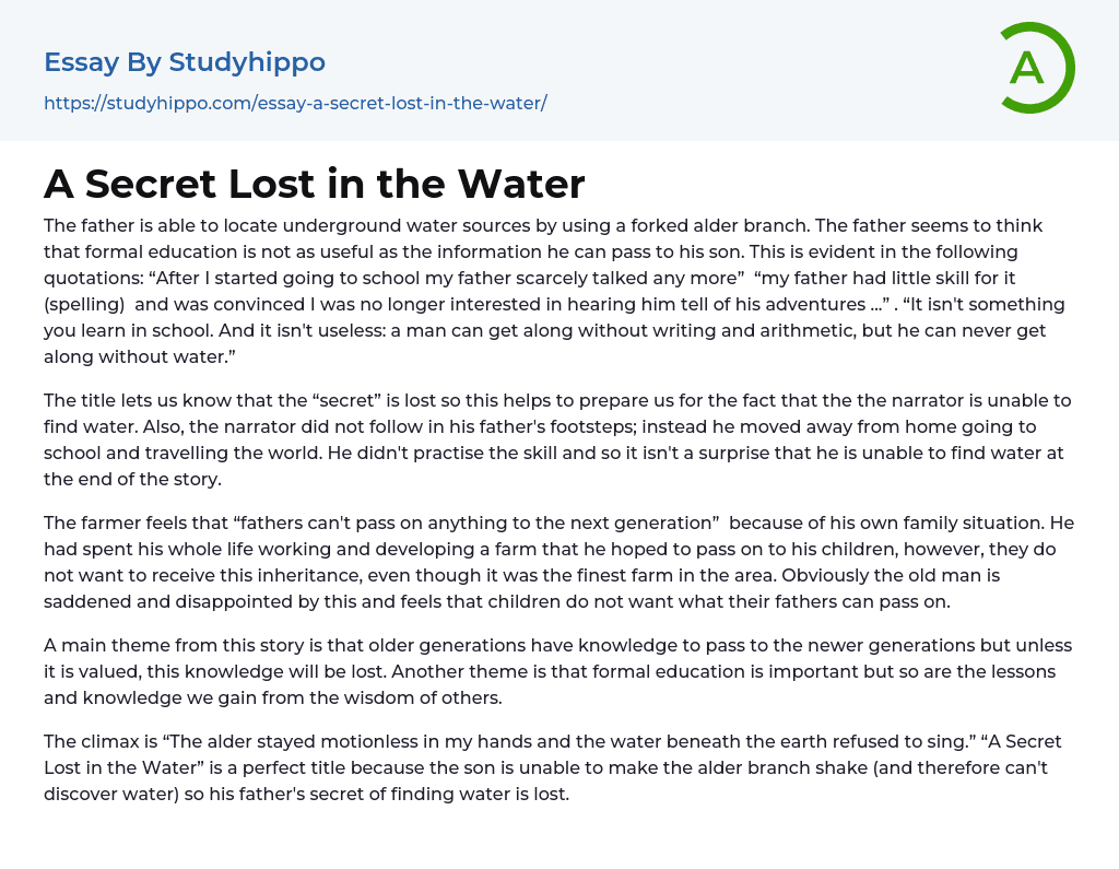 A Secret Lost in the Water Essay Example
