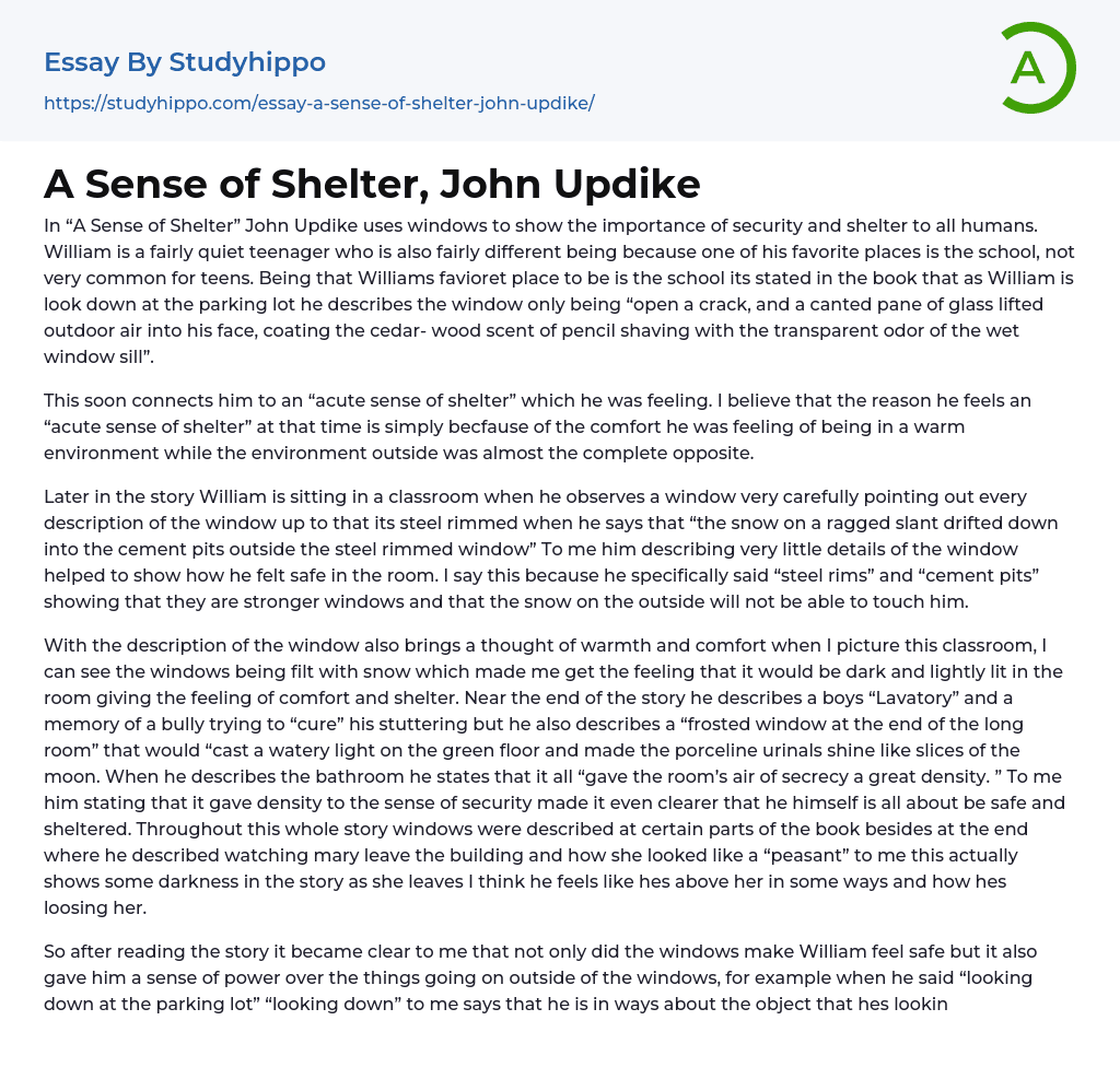 A Sense of Shelter, John Updike Essay Example