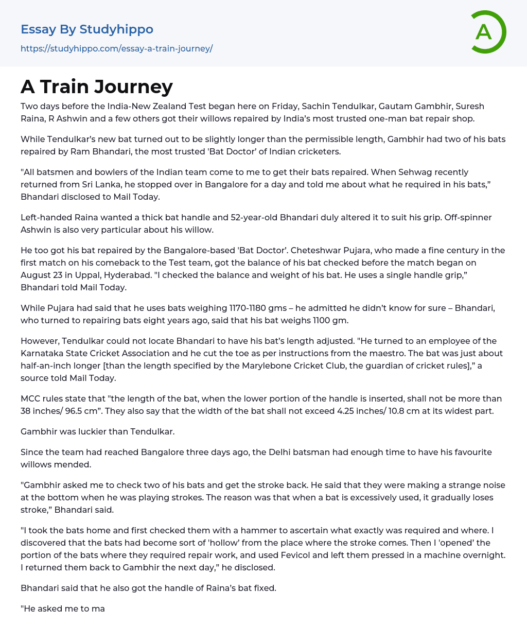 A Train Journey Essay Example