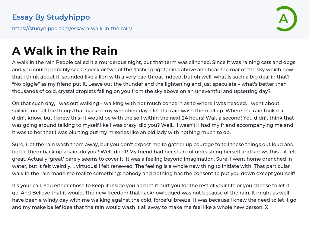 A Walk in the Rain Essay Example