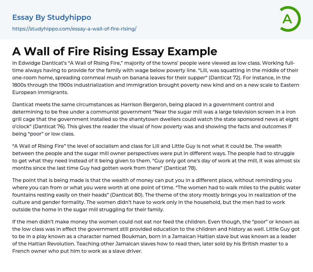 A Wall of Fire Rising Essay Example
