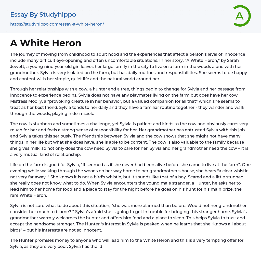 A White Heron Essay Example