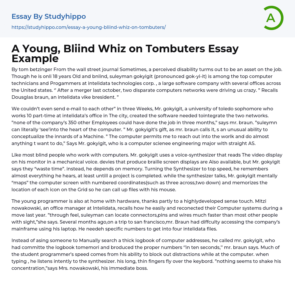 A Young, Bliind Whiz on Tombuters Essay Example