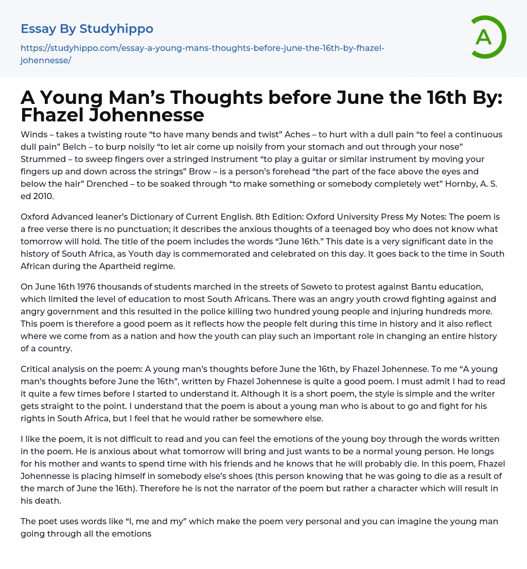 A Young Man’s Thoughts before June the 16th By: Fhazel Johennesse Essay Example
