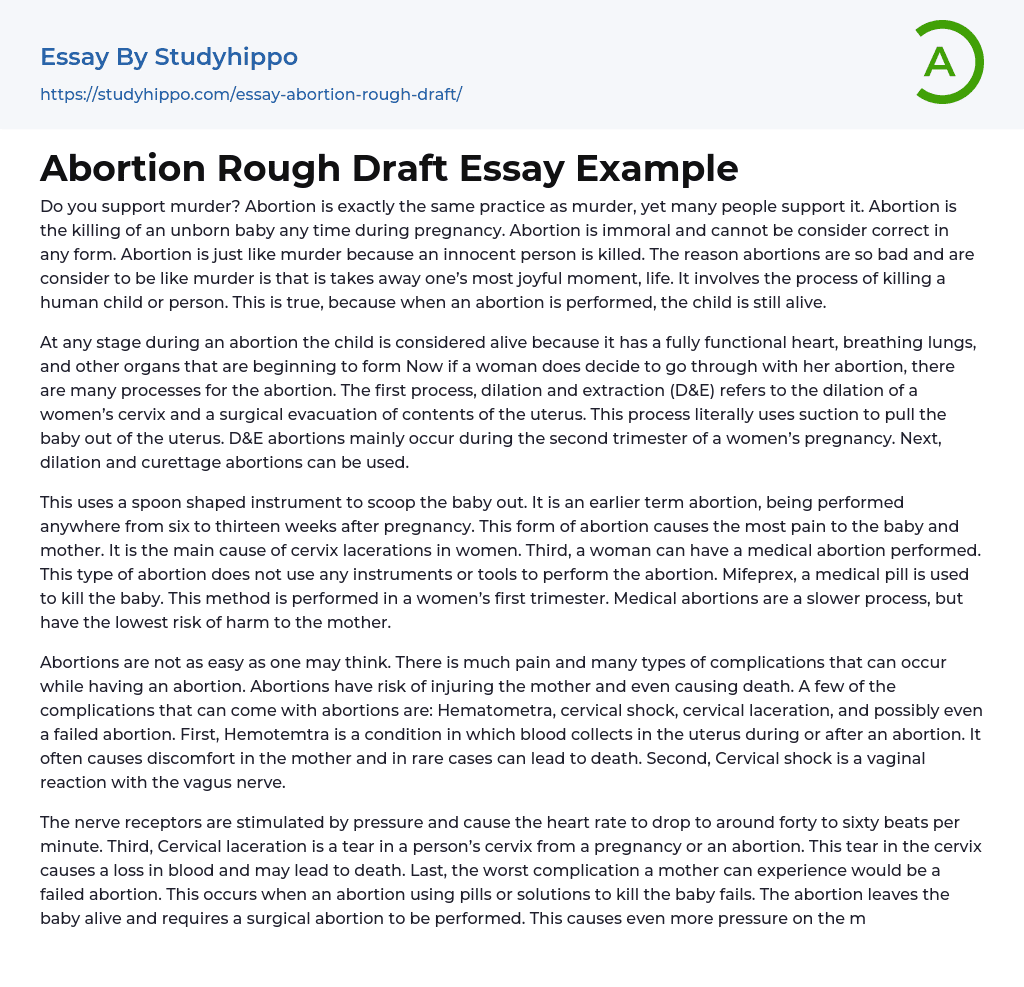 Abortion Rough Draft Essay Example