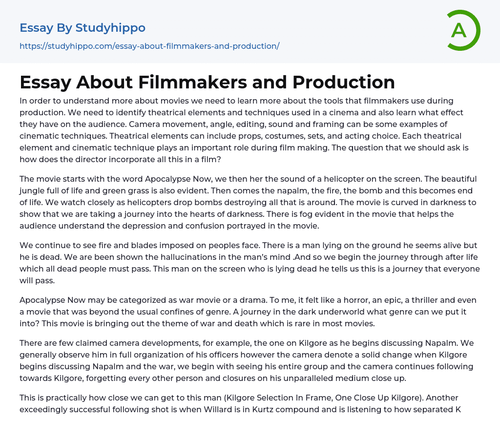 Essay About Filmmakers and Production