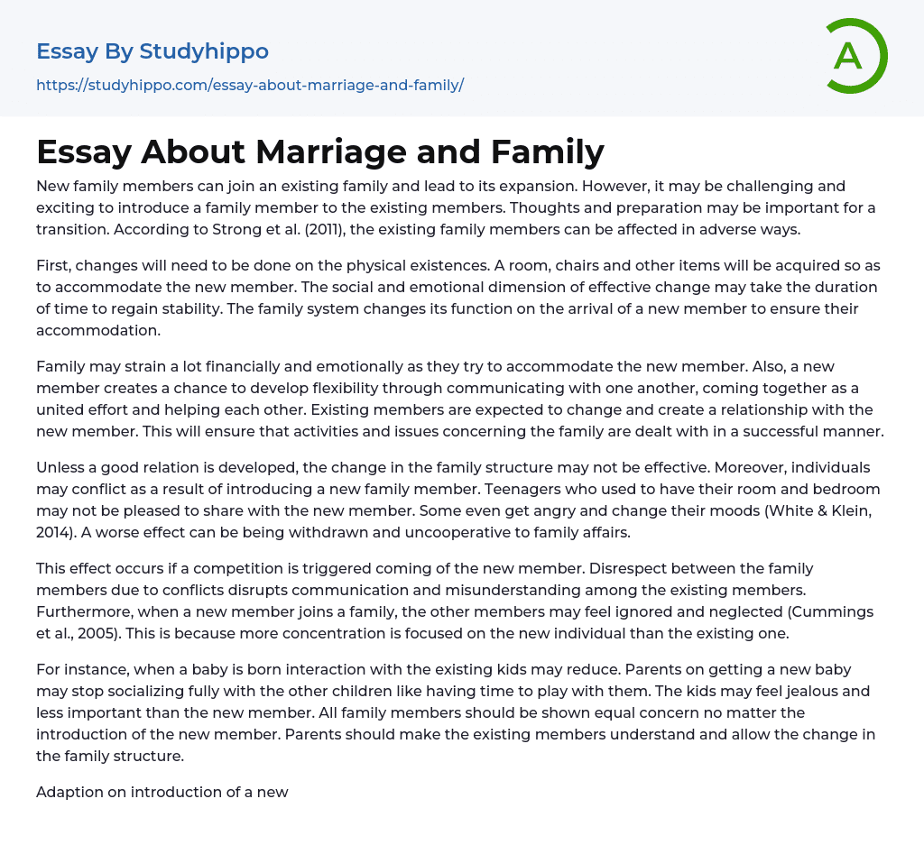 essay about marriage and family