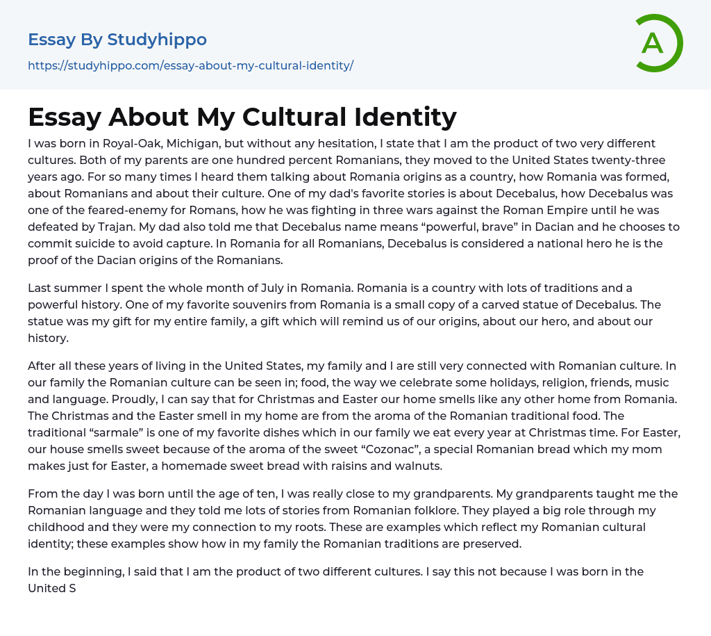essay about my identity
