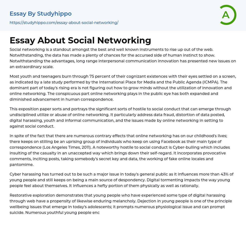 Essay About Social Networking