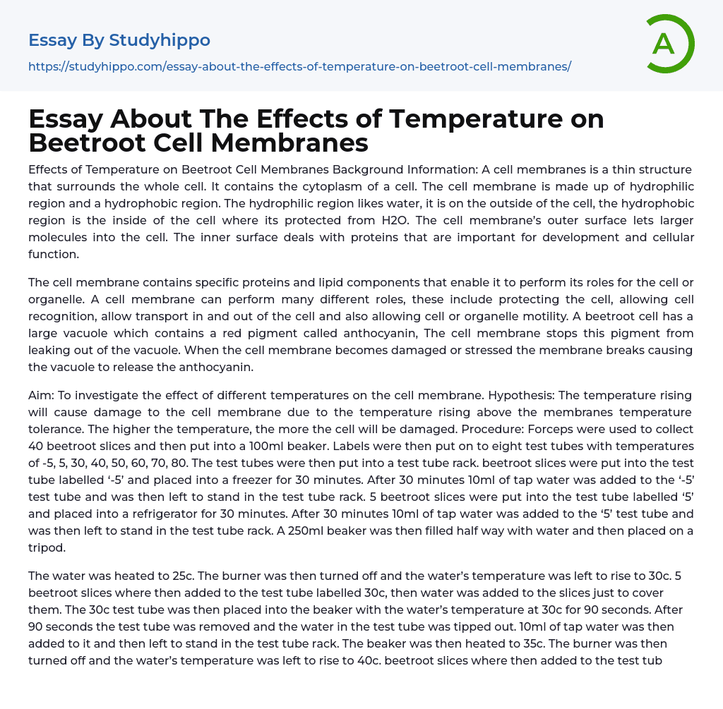 Essay About The Effects of Temperature on Beetroot Cell Membranes