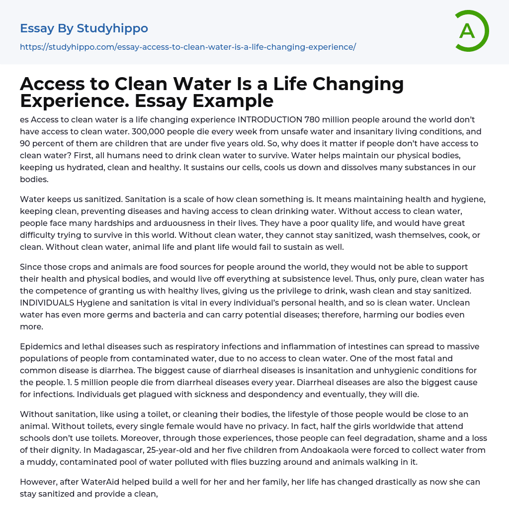 Access to Clean Water Is a Life Changing Experience. Essay Example