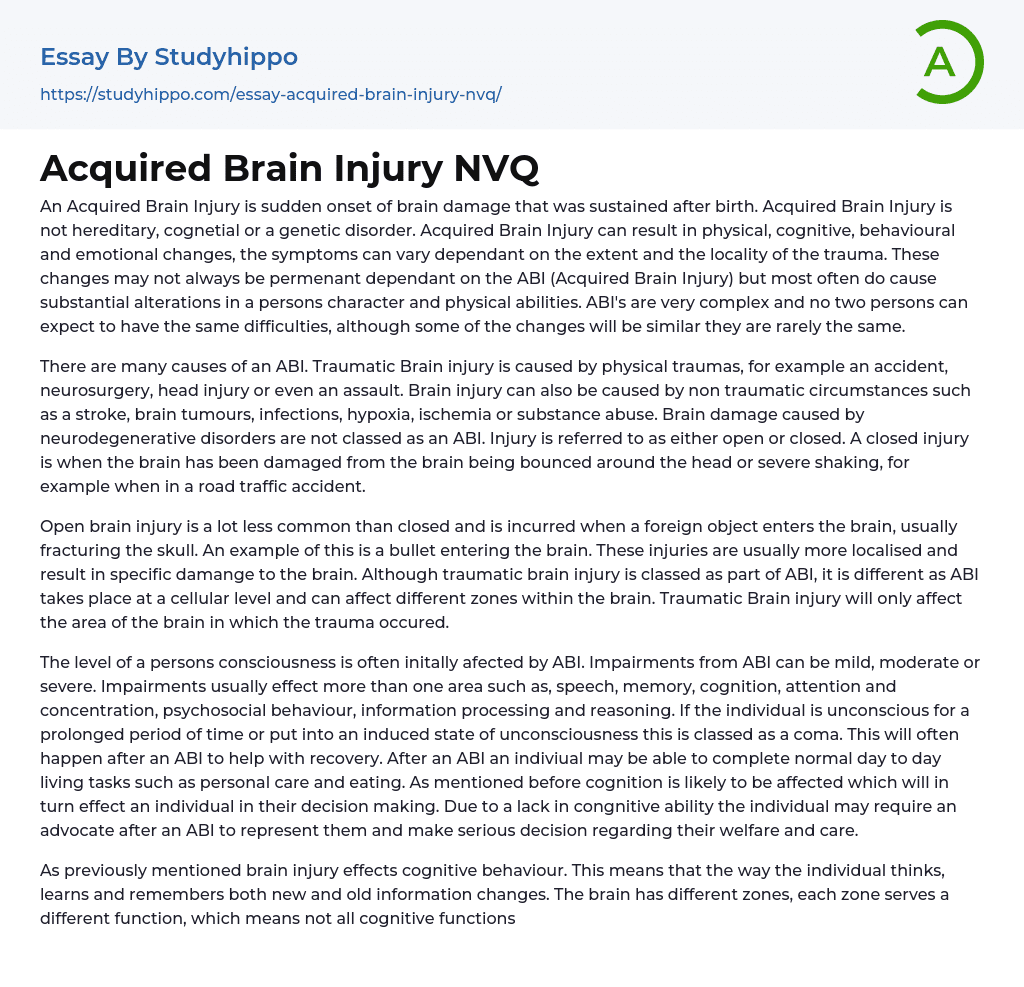 Acquired Brain Injury NVQ Essay Example