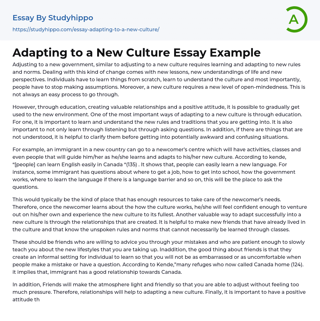 Adapting to a New Culture Essay Example