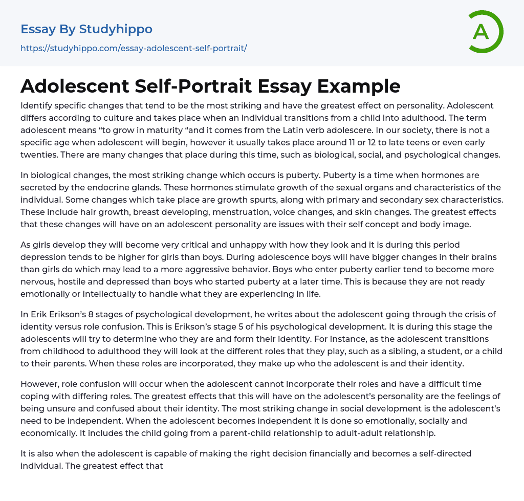Adolescent Self-Portrait Essay Example