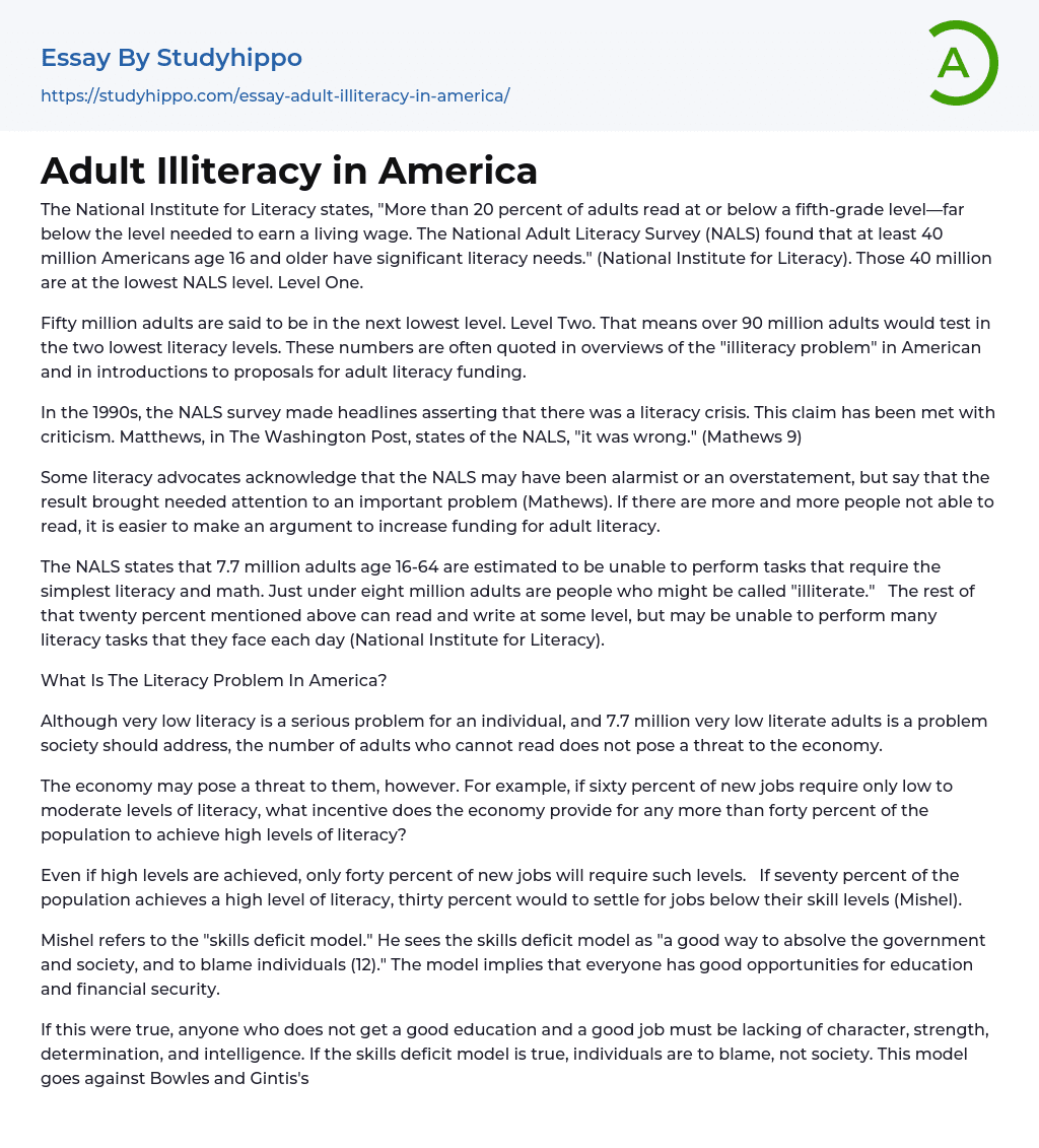Adult Illiteracy in America Essay Example