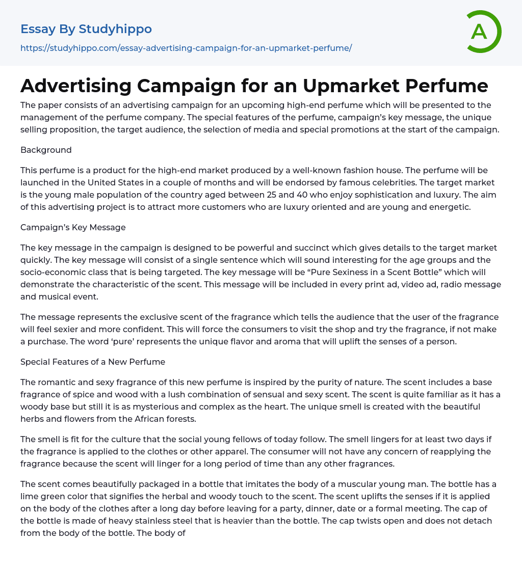 advertising campaign essay