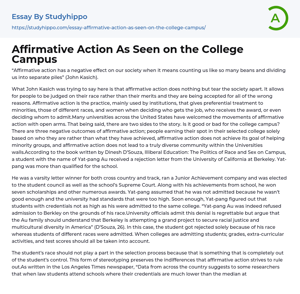 Affirmative Action As Seen on the College Campus Essay Example