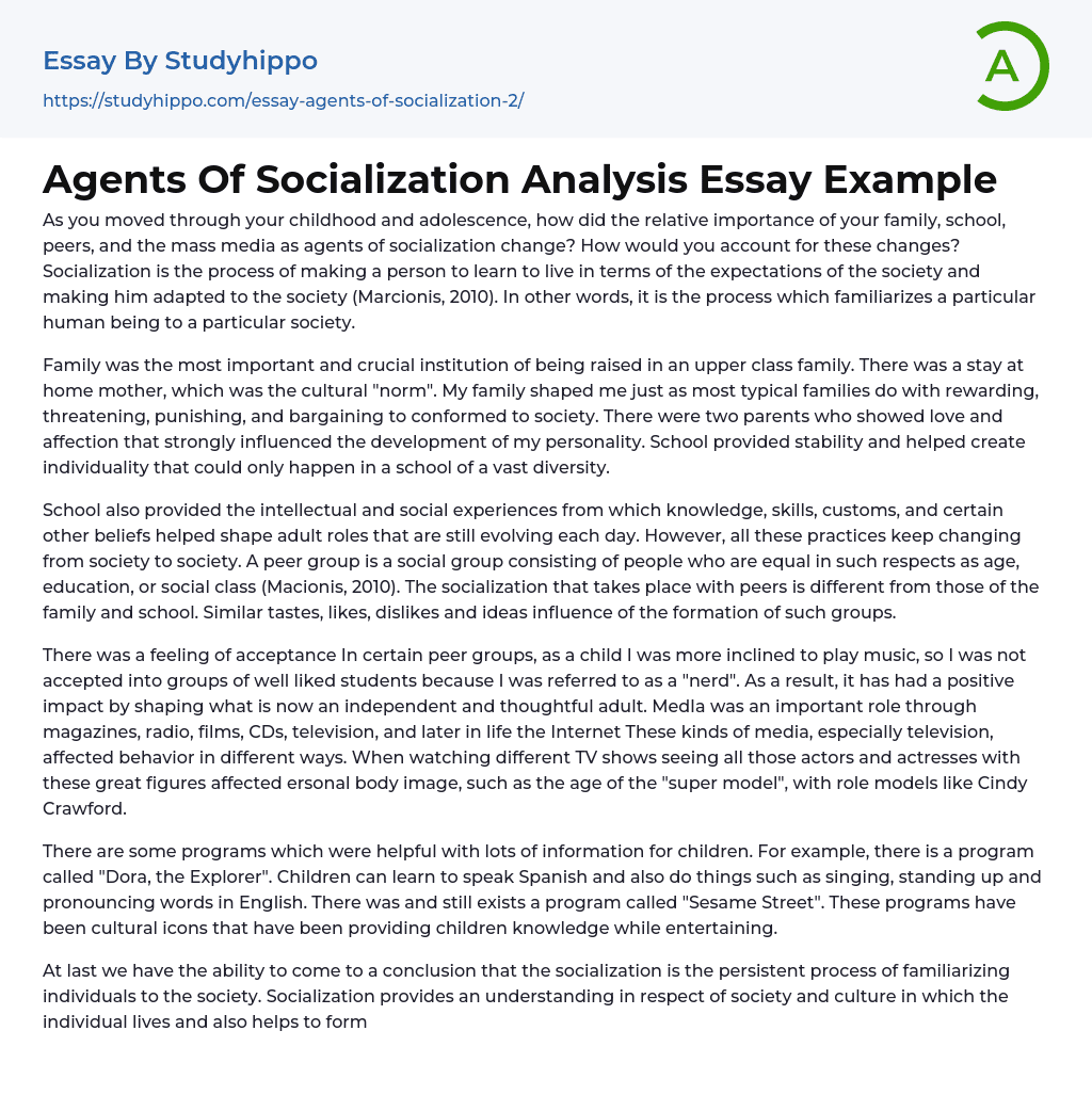 Agents Of Socialization Analysis Essay Example