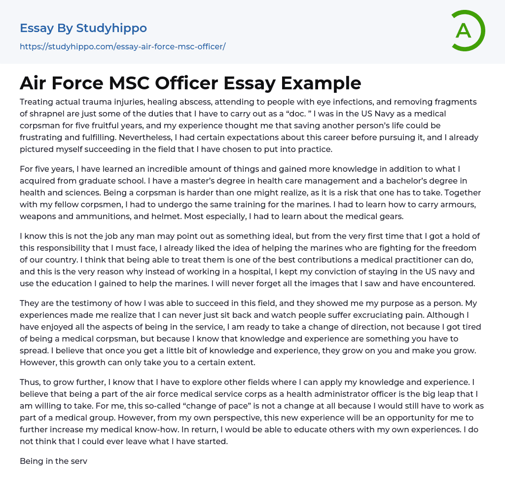 Air Force MSC Officer Essay Example