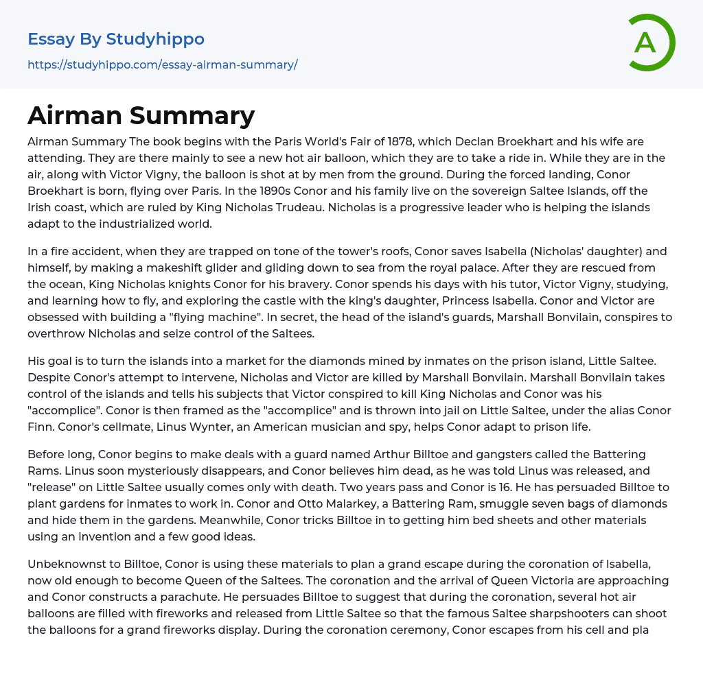 Airman Summary Essay Example