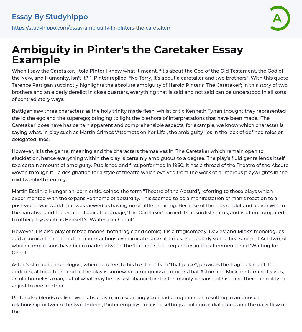 Ambiguity in Pinter’s the Caretaker Essay Example
