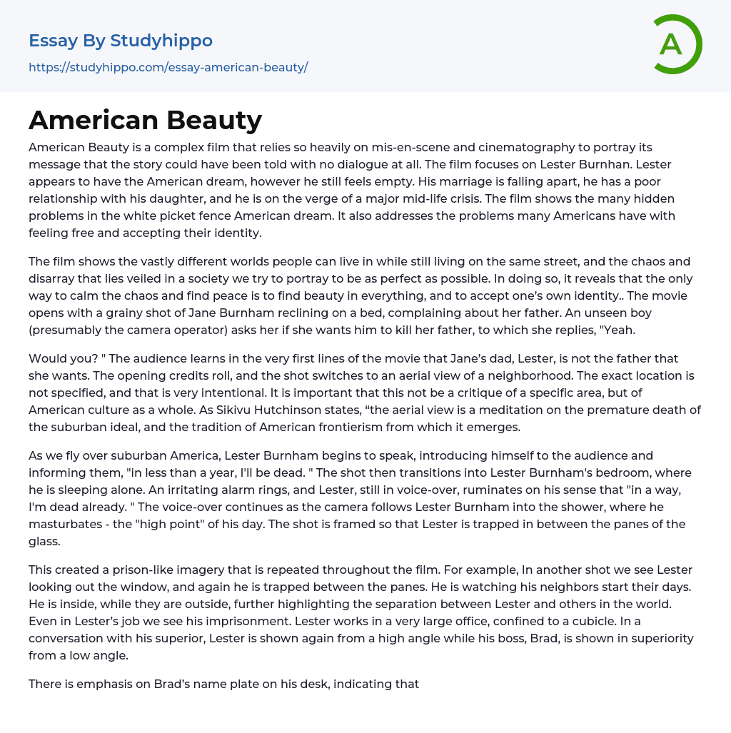 American Beauty Essay Example