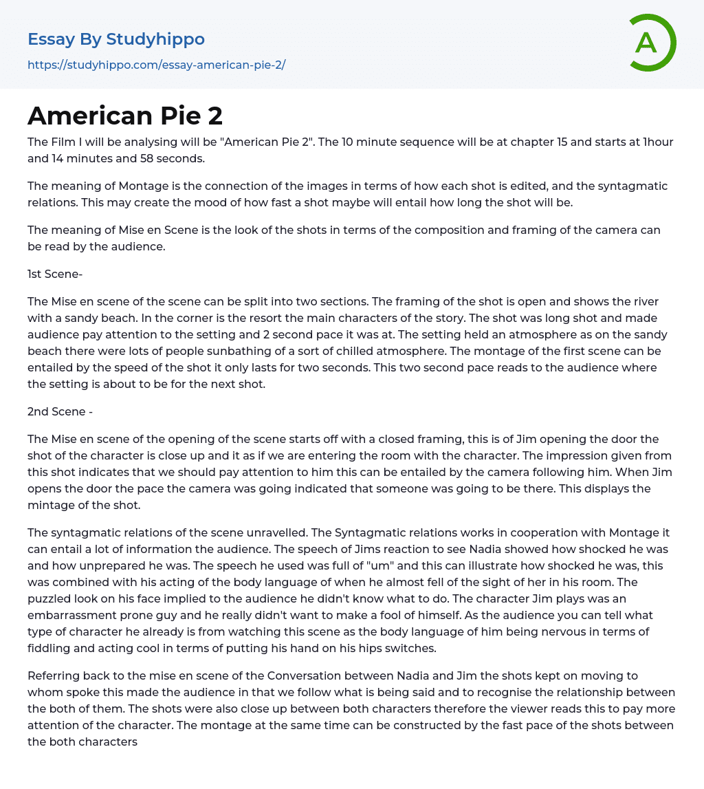 American Pie 2 Essay Example
