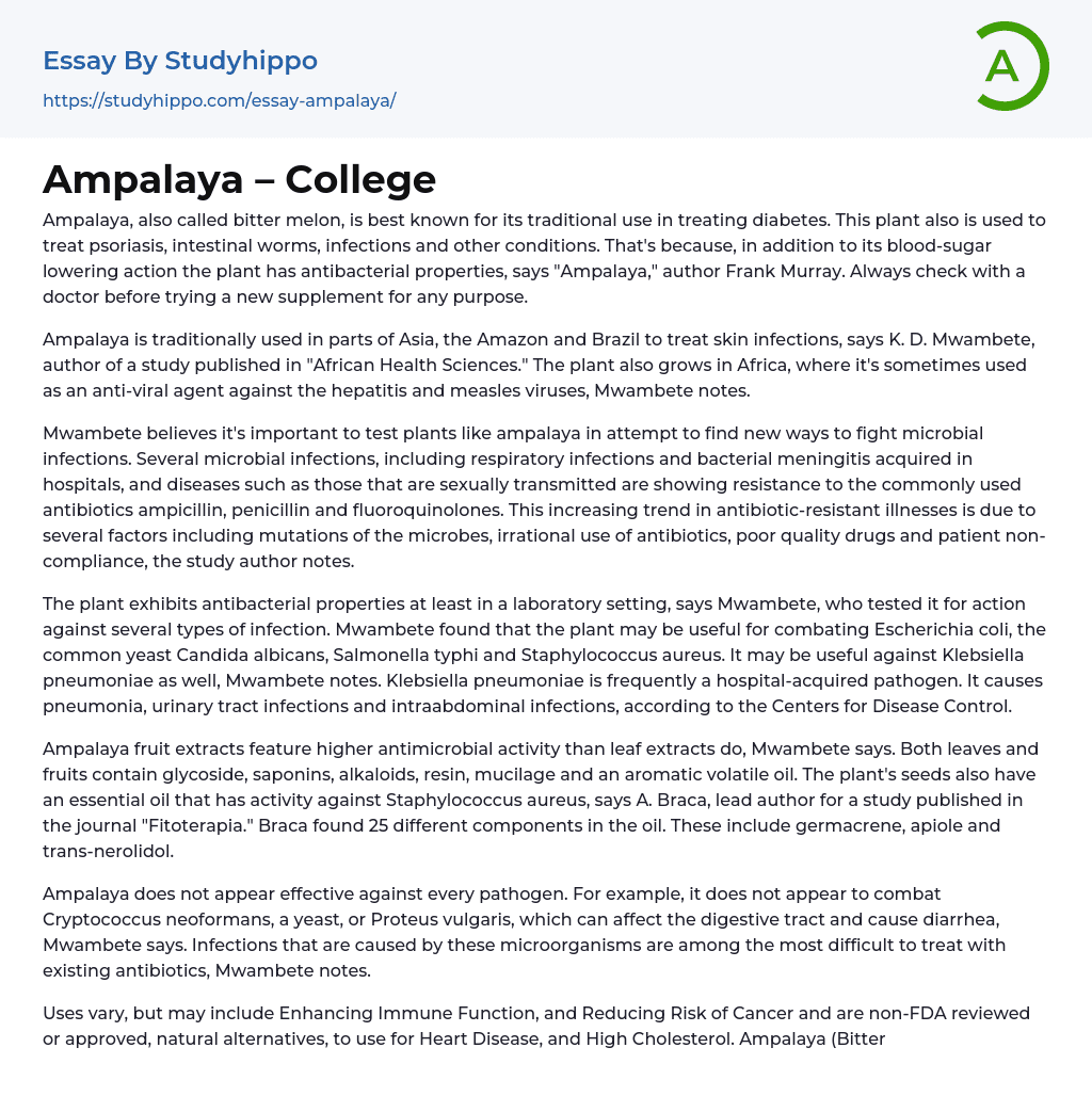 Ampalaya – College Essay Example