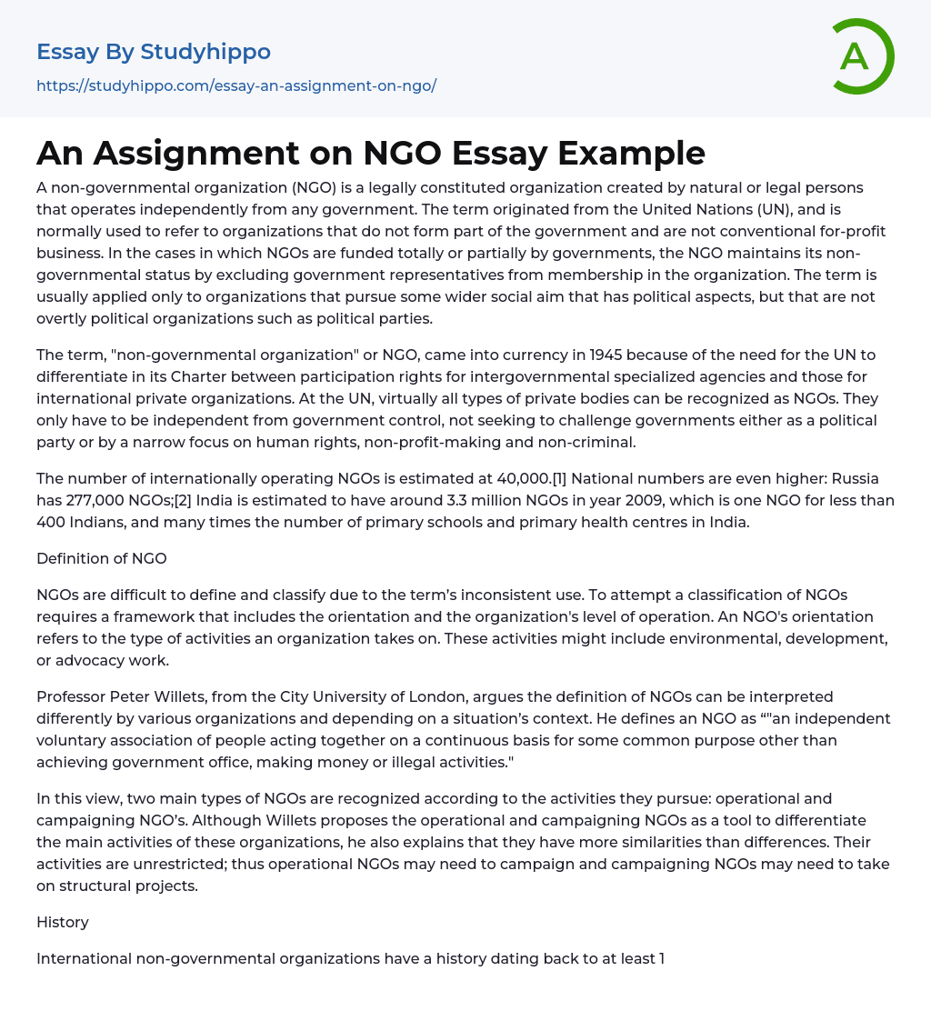 An Assignment on NGO Essay Example