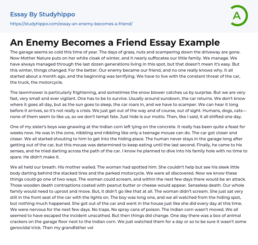 An Enemy Becomes a Friend Essay Example