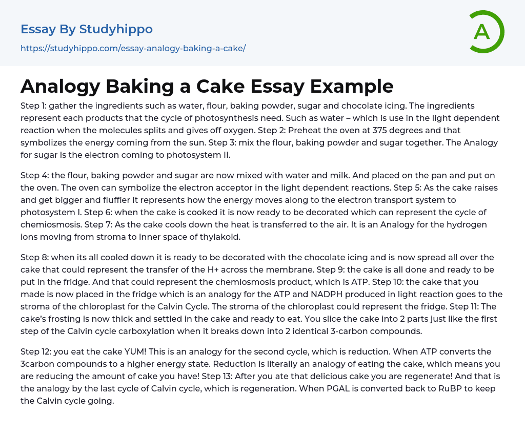 Analogy Baking a Cake Essay Example