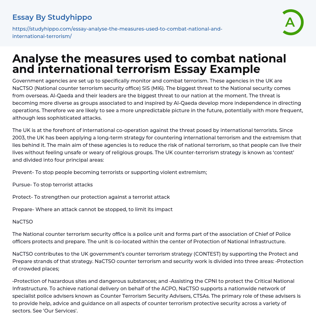 Analyse the measures used to combat national and international terrorism Essay Example