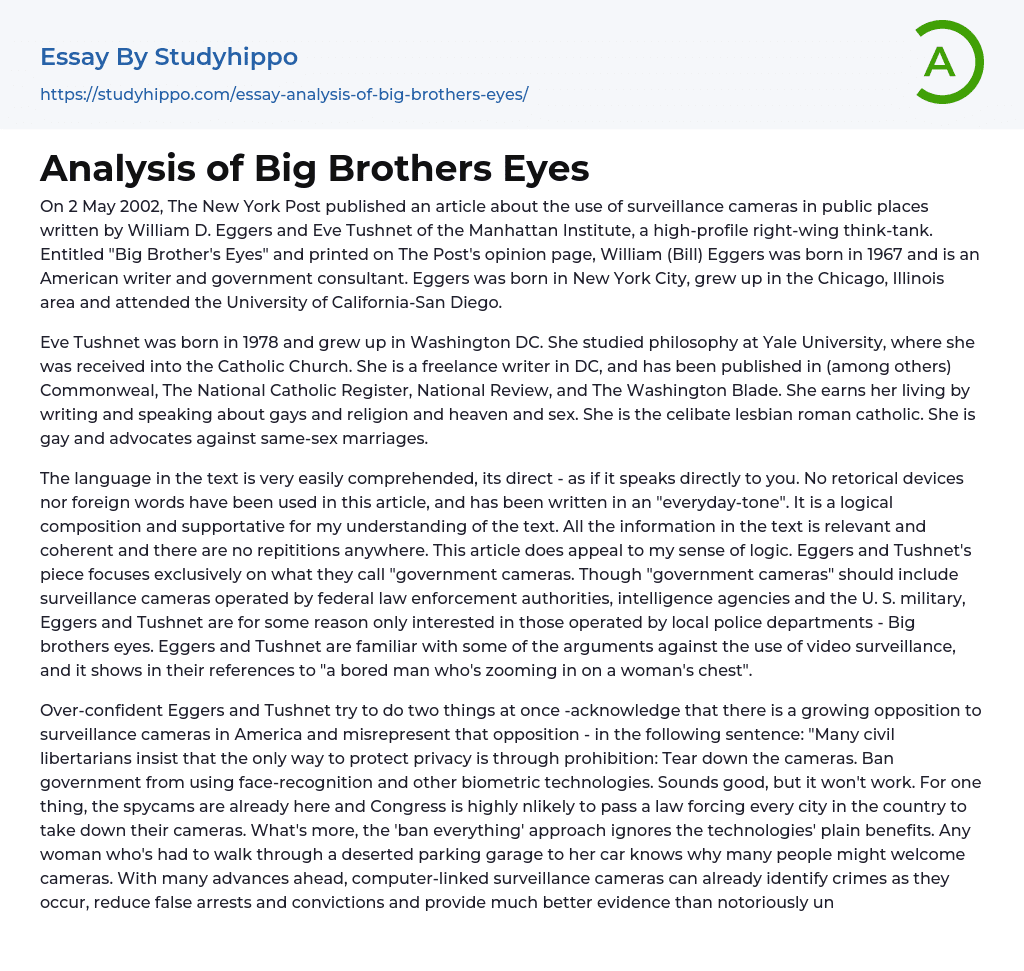 Analysis of Big Brothers Eyes Essay Example