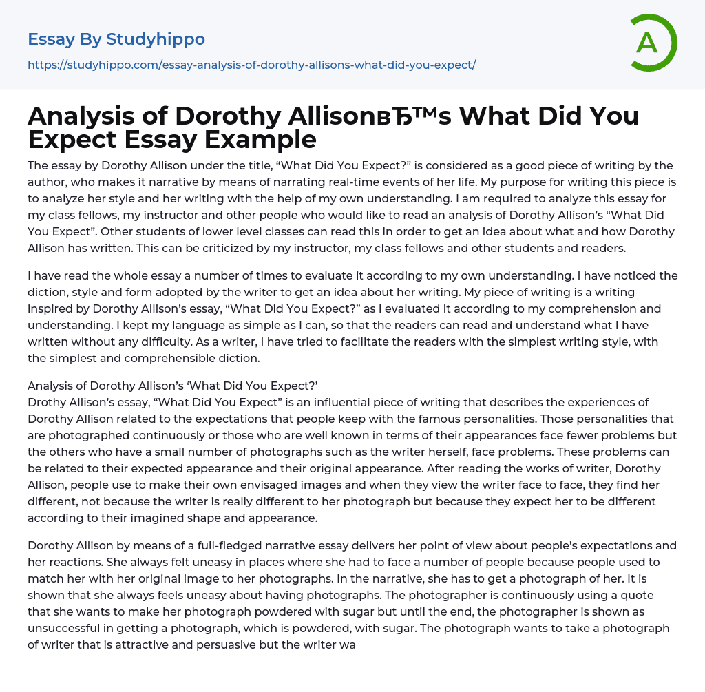 Analysis of Dorothy Allison’s What Did You Expect Essay Example