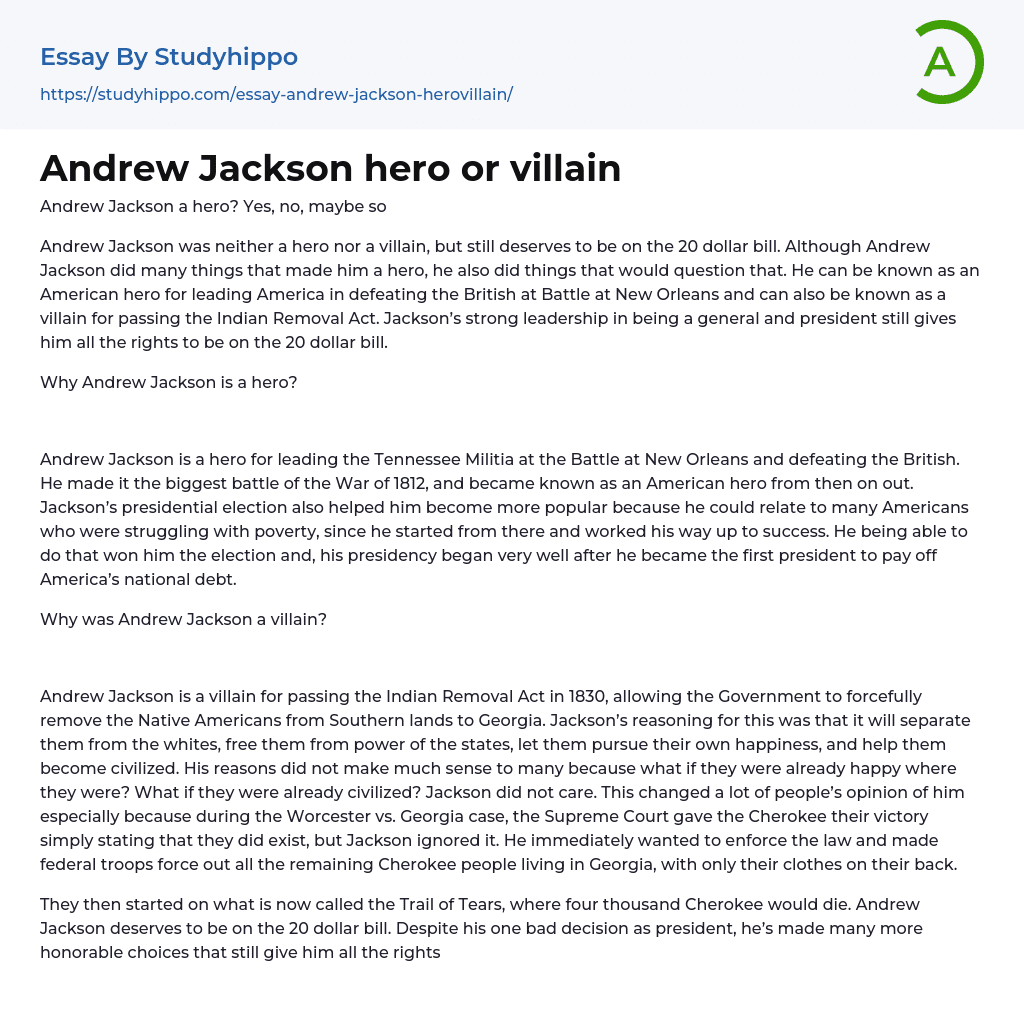 Andrew Jackson hero or villain Essay Example
