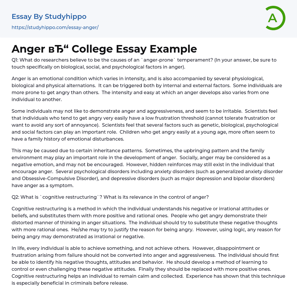 Anger College Essay Example